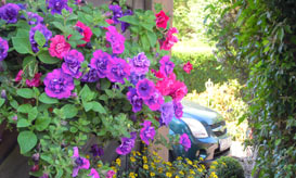 Ostseebad Insel Poel - Ferienwohnungen Familie Baberowski